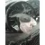 Volante para Seat Leon St (5F8)