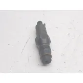 Inyector para Citroën C15