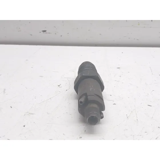 Inyector para Citroën C15