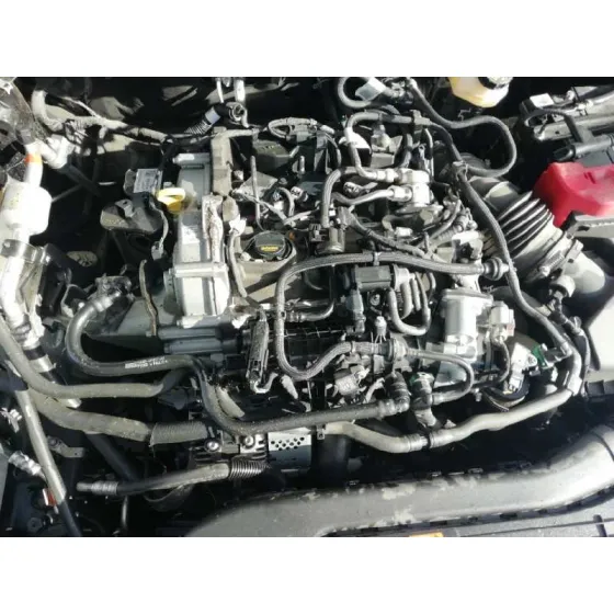 Despiece Motor para Ford Focus