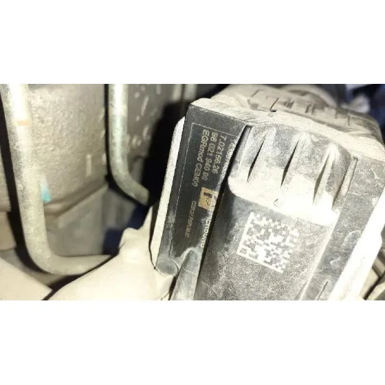 Valvula Egr para Ford Focus Lim. (Cb8)