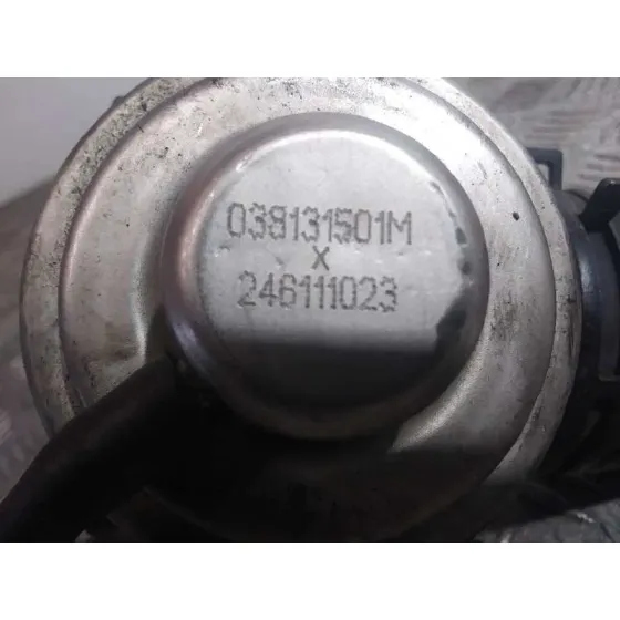 Valvula Egr para Skoda Fabia Familiar (6Y5)