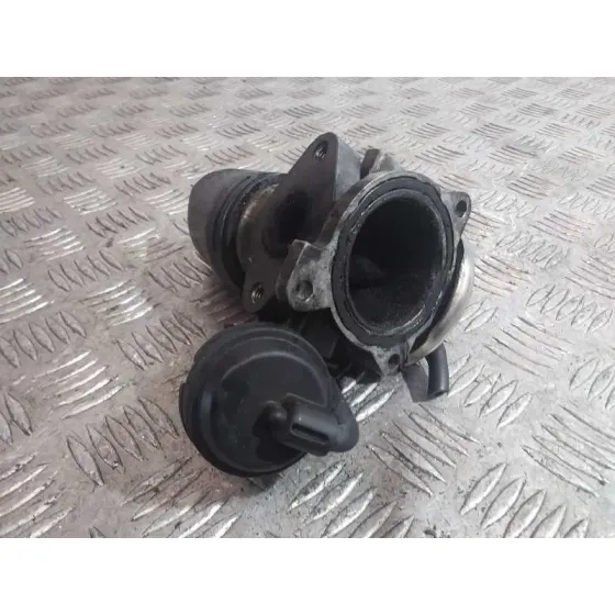 Valvula Egr para Skoda Fabia Familiar (6Y5)