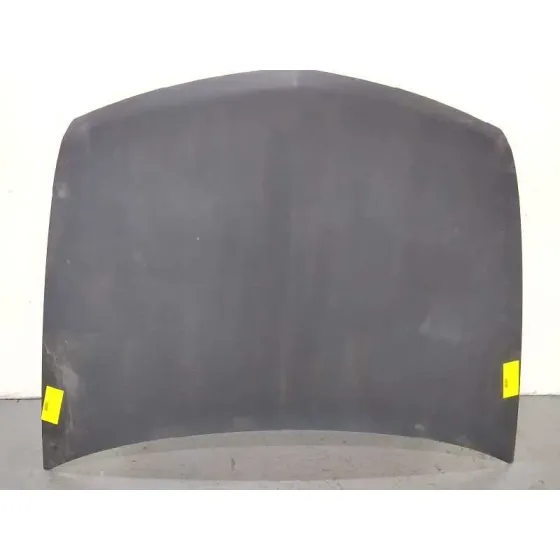 Capot para Renault Vel Satis (Bj0)