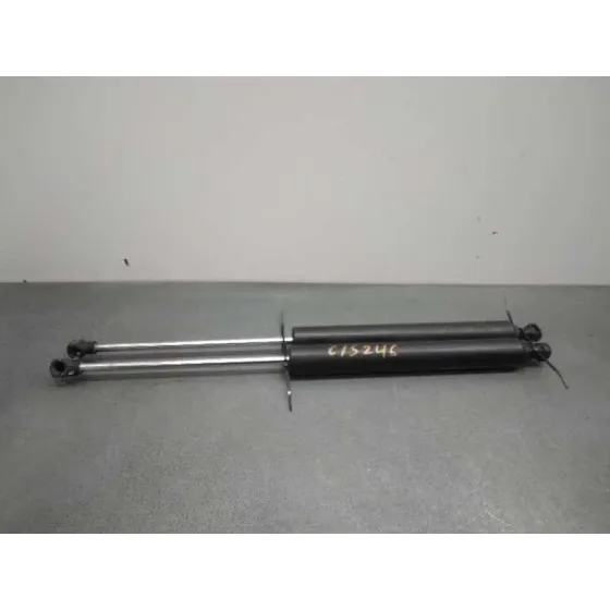 Amortiguadores Maletero / Porton para Renault Vel Satis (Bj0)