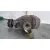 Diferencial Trasero para Bmw Serie 1 Coupe (E82)