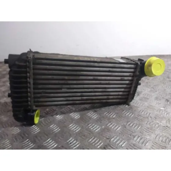Intercooler para Ford Focus Lim. (Cb8)