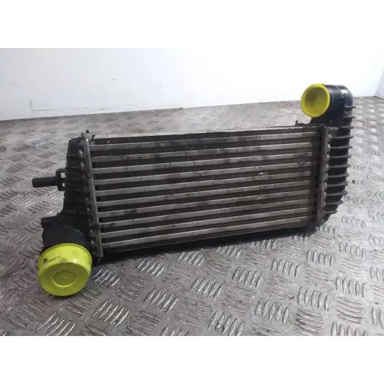 Intercooler para Ford Focus Lim. (Cb8)