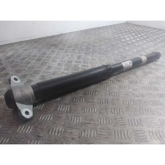 Amortiguador Trasero Derecho para Ford Focus