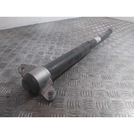 Amortiguador Trasero Izquierdo para Ford Focus