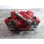 Pinza Freno Delantera Izquierda para Ford Focus