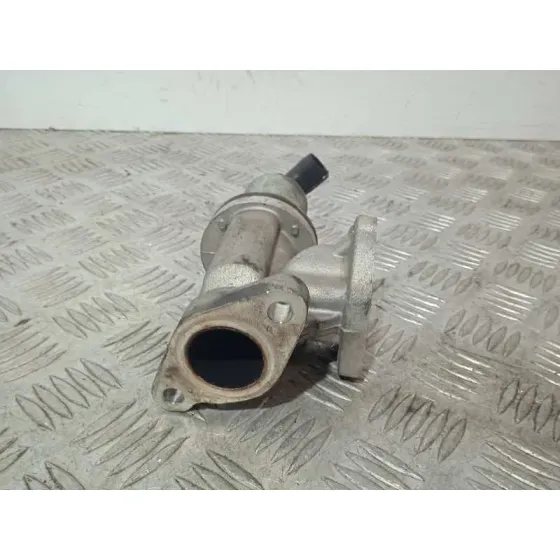 Valvula Egr para Hyundai Santa Fe (Bm)