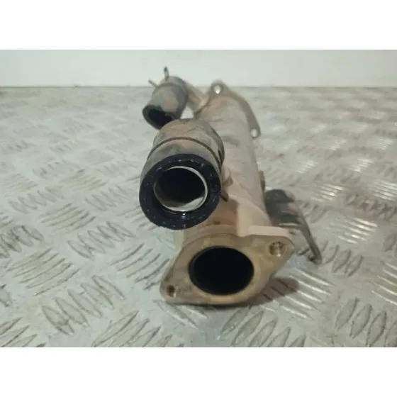 Enfriador Egr para Hyundai Santa Fe (Bm)