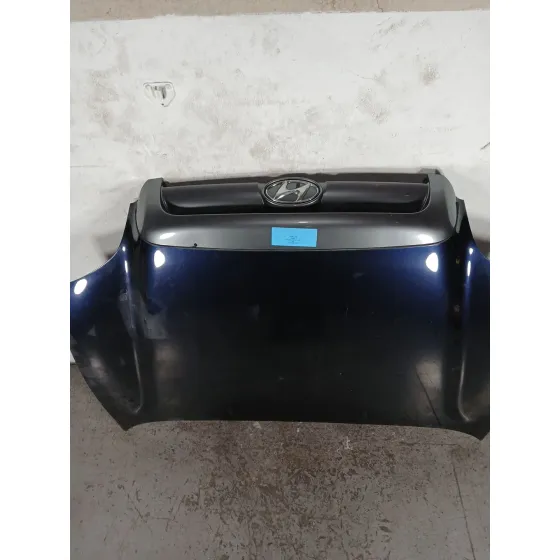 Capot para Hyundai Santa Fe (Sm)