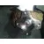 Caja Cambios para Nissan Qashqai (J11)