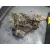 Caja Cambios para Nissan Qashqai (J11)