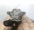 Diferencial Trasero para Mercedes-Benz Clase M (W164)