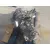 Caja Cambios para Audi A5 Coupe (8T)