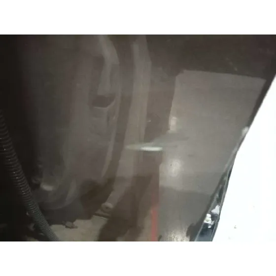 Puerta Delantera Izquierda para Renault Scenic Iii