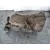 Caja Cambios para Ssangyong Rodius