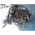 Despiece Motor para Ssangyong Rodius