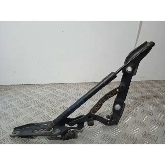 Amortiguadores Maletero / Porton para Bmw Serie 3 Coupe (E92)
