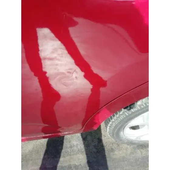 Puerta Trasera Izquierda para Citroën C3