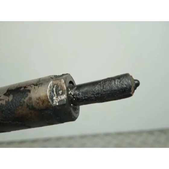 Inyector para Kia Carens (Un)