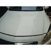 Capot para Opel Insignia Berlina