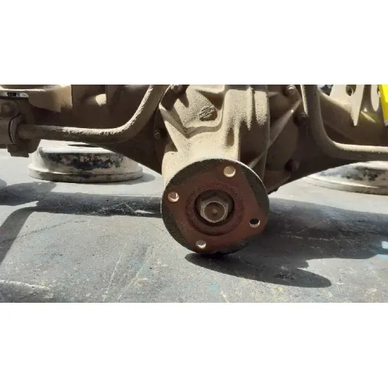 Diferencial Trasero para Nissan Terrano/Terrano.ii (R20)