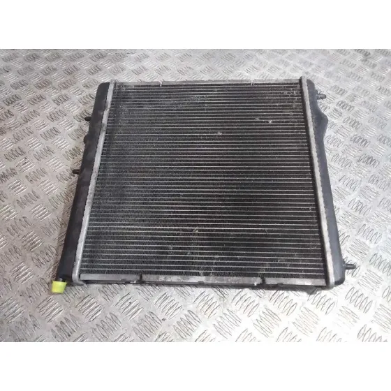 Radiador Agua para Peugeot 208