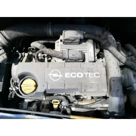 Despiece Motor para Opel Meriva
