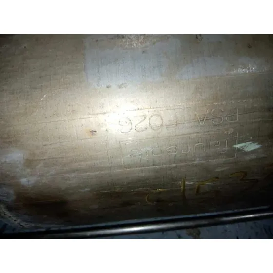 Filtro De Particulas para Citroën C4 Picasso