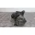 Motor Arranque para Mazda 6 Monovolumen (Gy)