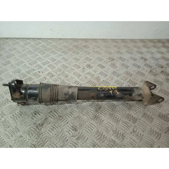 Amortiguador Trasero Izquierdo para Mercedes-Benz Clase R (W251)