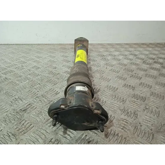Amortiguador Trasero Izquierdo para Mercedes-Benz Clase R (W251)