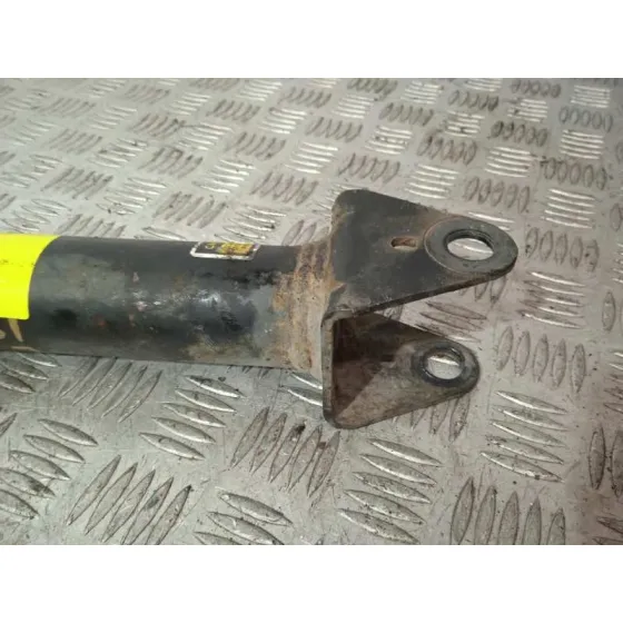 Amortiguador Trasero Izquierdo para Mercedes-Benz Clase R (W251)