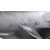 Diferencial Delantero para Mercedes-Benz Clase R (W251)