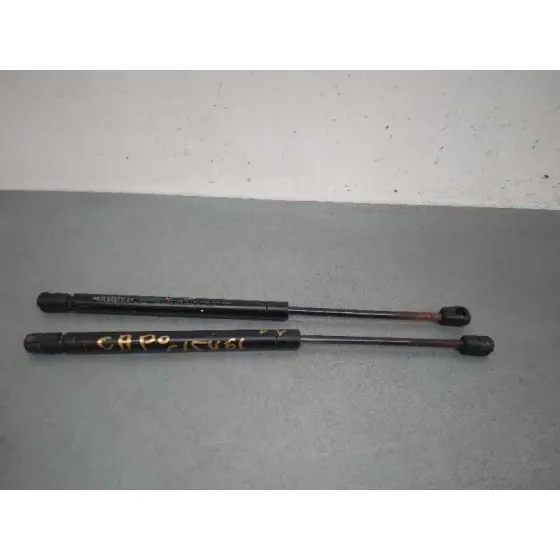 Amortiguadores Capo para Mercedes-Benz Clase R (W251)