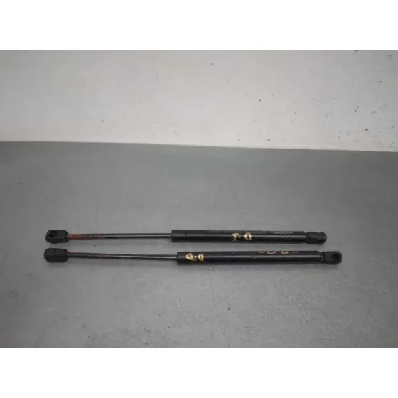 Amortiguadores Capo para Mercedes-Benz Clase R (W251)