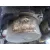 Depresor Freno / Bomba Vacio para Renault Clio Iii