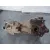 Diferencial Trasero para Hyundai Santa Fe (Bm)