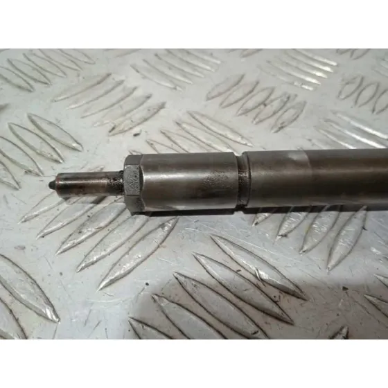 Inyector para Hyundai Santa Fe (Bm)