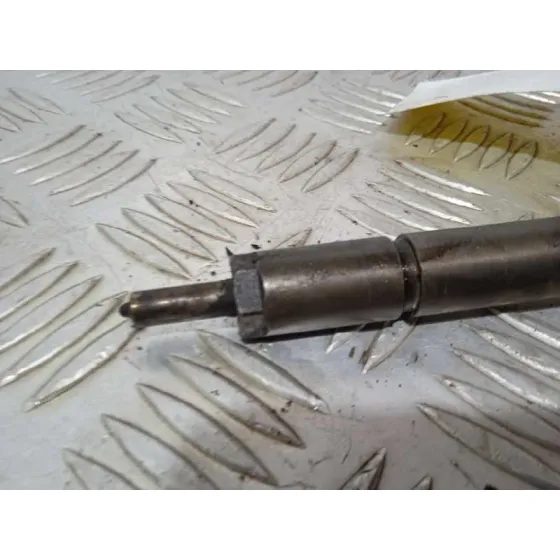 Inyector para Hyundai Santa Fe (Bm)