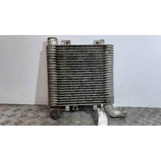 Intercooler para Hyundai Santa Fe (Bm)