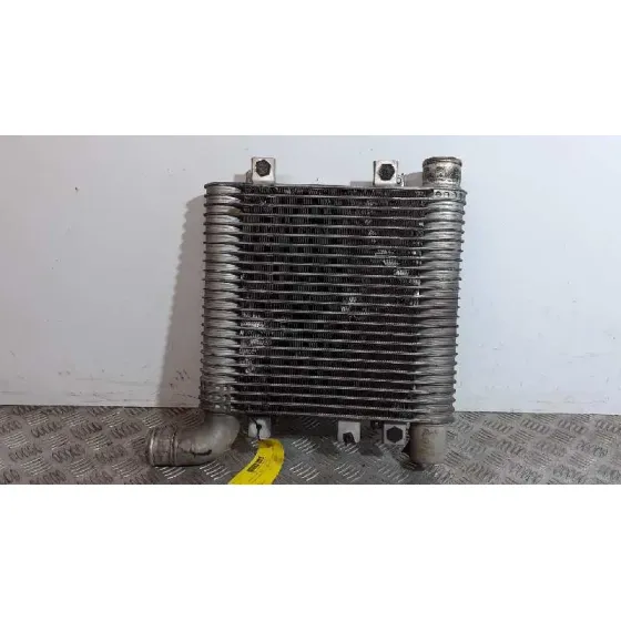 Intercooler para Hyundai Santa Fe (Bm)