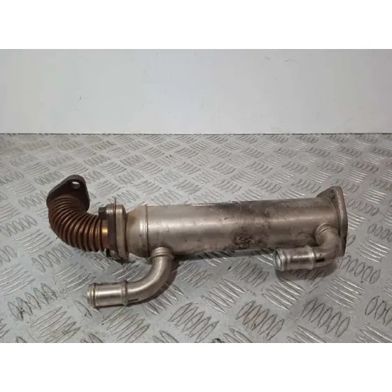 Enfriador Egr para Hyundai Santa Fe (Bm)