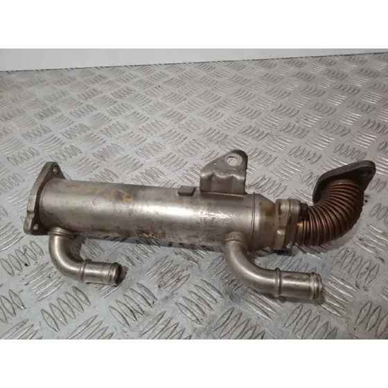 Enfriador Egr para Hyundai Santa Fe (Bm)