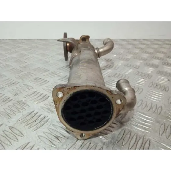 Enfriador Egr para Hyundai Santa Fe (Bm)