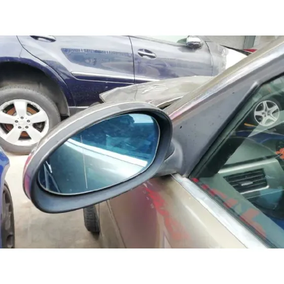 Retrovisor Izquierdo para Bmw Serie 3 Berlina (E90)